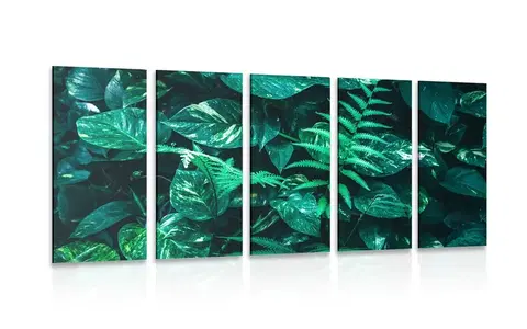 Obrazy zátišie 5-dielny obraz svieže tropické listy