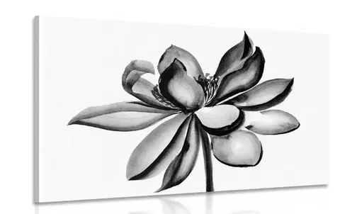 Čiernobiele obrazy Obraz akvarelový lotosový kvet v čiernobielom prevedení