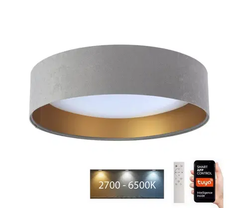 Svietidlá  LED Stropné svietidlo SMART GALAXY LED/24W/230V Wi-Fi Tuya šedá/zlatá + DO 