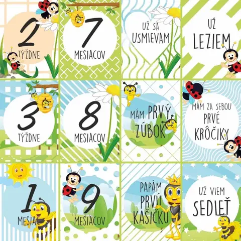 Míľnikové kartičky Míľnikové kartičky na fotenie - Lienky a včielky
