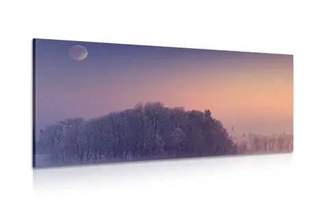 Obrazy prírody a krajiny Obraz spln mesiaca nad dedinou