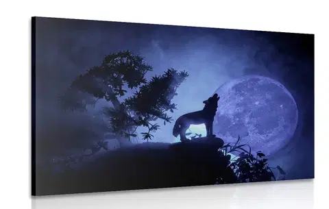 Obrazy zvierat Obraz vlk v splne mesiaca