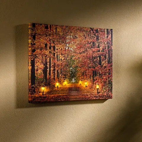 Drobné dekorácie a doplnky LED obraz "Jesenný les"