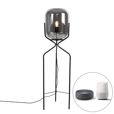 Stojace lampy Inteligentná stojaca lampa čierna vrátane dymového skla WiFi A60 - Bliss