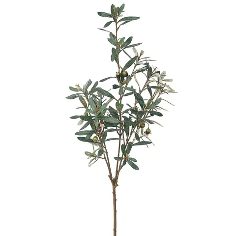 Kvety Umelá vetva Olivovníka zelená, 81 cm 