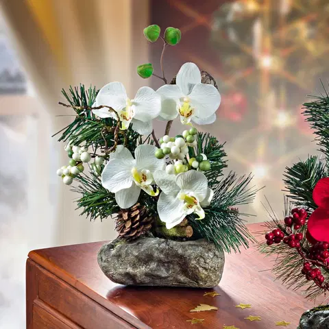 Drobné dekorácie a doplnky Aranžmán z orchideí, biela