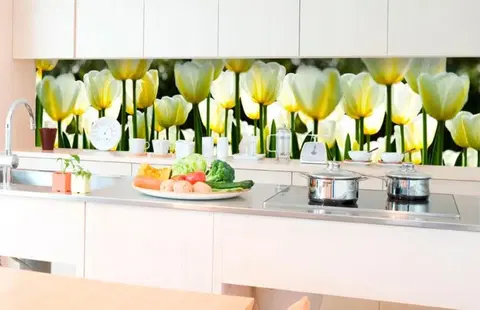 Tapety Samolepiaca fototapeta do kuchyne biele tulipány