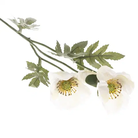 Kvety Umelá kvetina Vlčí mak 65 cm, biela 