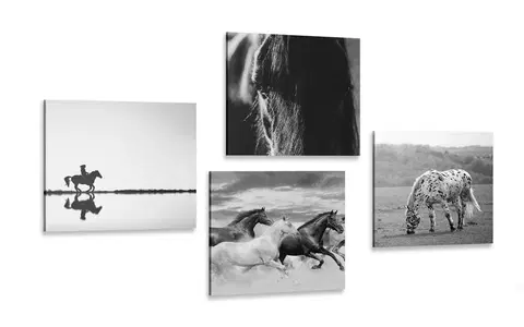 Zostavy obrazov Set obrazov pre milovníkov koní v čiernobielom prevedení
