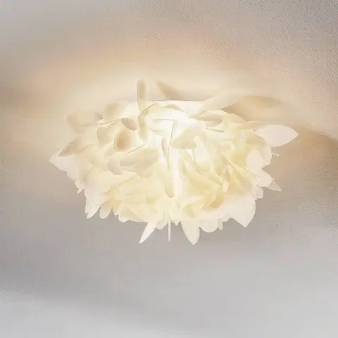 Nástenné svietidlá Slamp Slamp Veli Foliage Mini nástenné svietidlo Ø 36 cm
