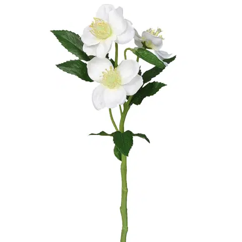 Kvety Umelá Čemerica biela, 37 cm 