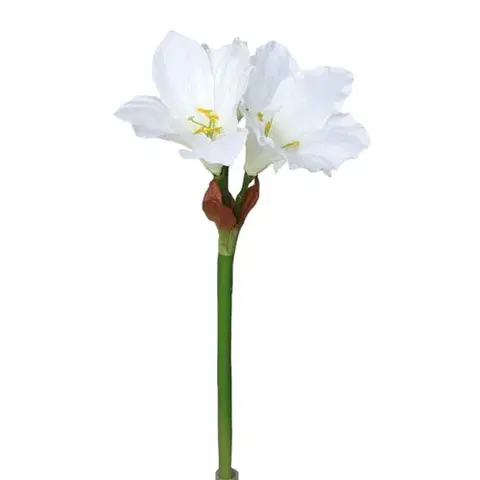 Kvety Umelá Amarylis biela, 52 cm