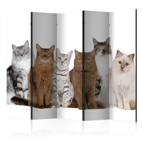 Paravány Paraván Sweet Cats Dekorhome 225x172 cm (5-dielny)