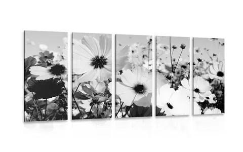 Čiernobiele obrazy 5-dielny obraz lúka jarných kvetov v čiernobielom prevedení