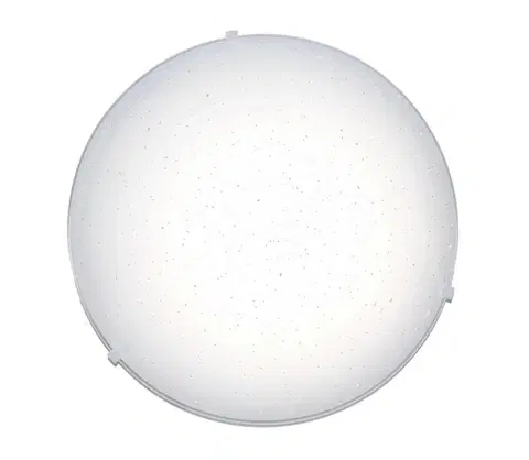 Svietidlá Top Light Top Light - LED Stropné svietidlo LED/12W/230V 