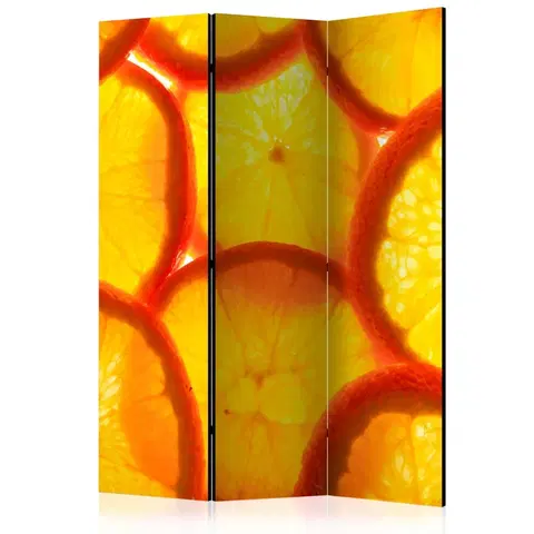 Paravány Paraván Orange slices Dekorhome 135x172 cm (3-dielny)