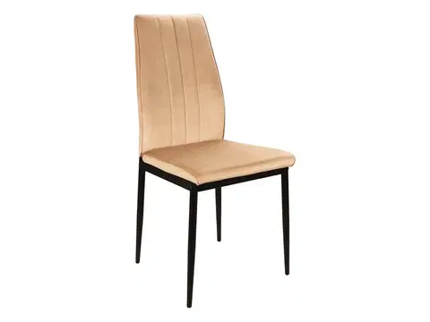 Jedálenské stoličky TOMAN VELVET jedálenská stolička, béžová / čierna