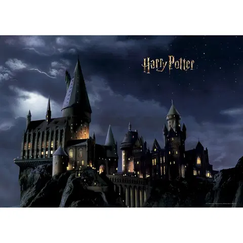 Tapety Detská fototapeta Harry Potter 252 x 182 cm, 4 diely