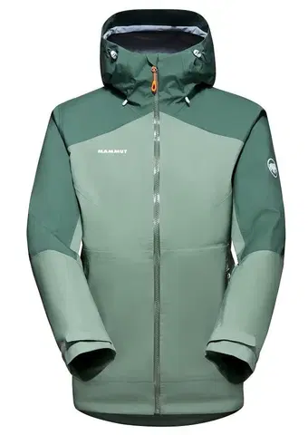 Pánske bundy a kabáty Mammut Convey Tour GTX Jacket W M
