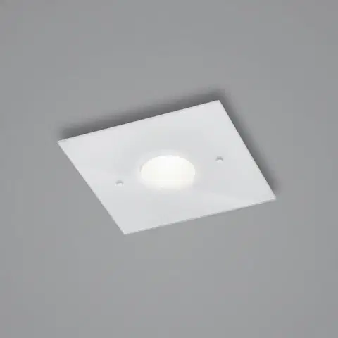 Stropné svietidlá Helestra Helestra Nomi stropné LED svetlo 23x23cm dim biela