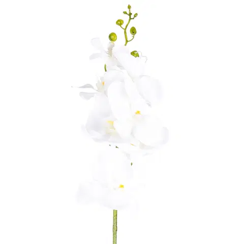 Kvety Umelá Orchidea čisto biela, 86 cm