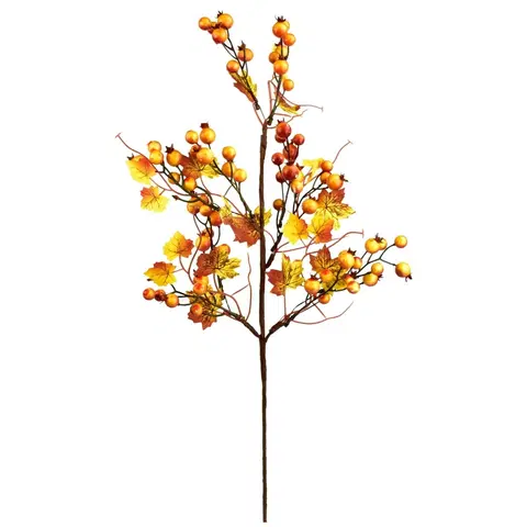 Kvety Jesenná vetvička so šípkami, 60 x 15 cm