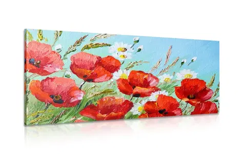 Obrazy kvetov Obraz červené maky v poli