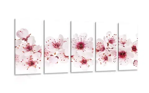 Obrazy kvetov 5-dielny obraz čerešňové kvety